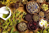 طب حکمت‌گرا؛ بازخوانی اسلامیِ گزاره‌های کهن با نگاهی نو