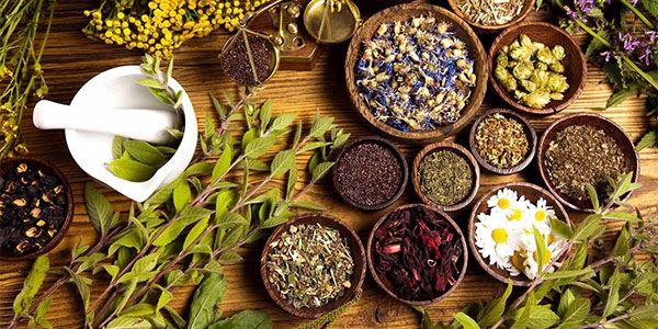طب حکمت‌گرا؛ بازخوانی اسلامیِ گزاره‌های کهن با نگاهی نو
