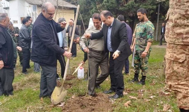 طرح «سرو ایران» در بقاع متبرکه کشور گسترش می‌یابد