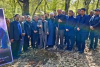 برگزاری پویش ملی درختکاری «سرو ایران» در پارک جنگلی شهید زارع ساری