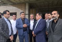 بازدید تاجرنیا و بابایی کارنامی از مجموعه داراب
