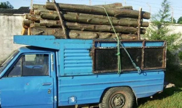 کشف 3تن چوب جنگلی قاچاق  در محمودآباد