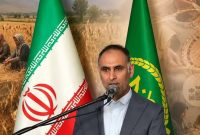 فعالیت 93 صندوق خرد زنان روستایی در مازندران