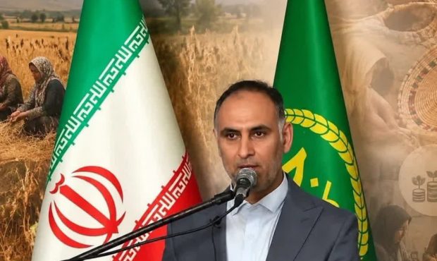 فعالیت 93 صندوق خرد زنان روستایی در مازندران