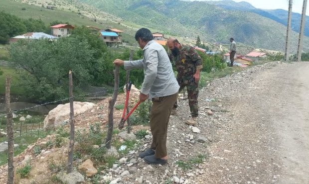 بازگشت ۲ هزار متر مربع از اراضی کشاورزی چالوس به چرخه تولید