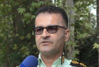 دستگیری ۲۷ باند قاچاق چوب در گلوگاه‌های مازندران