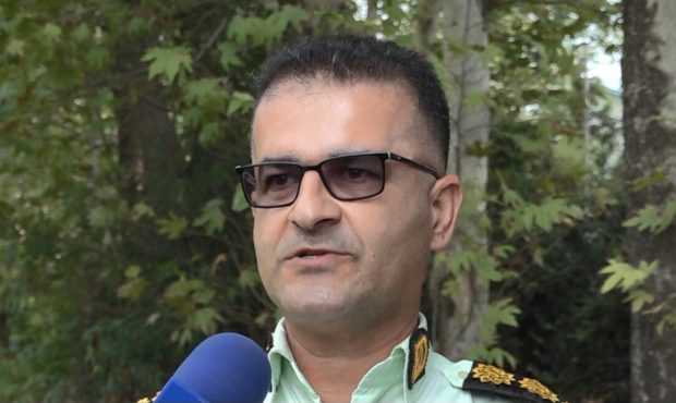 دستگیری ۲۷ باند قاچاق چوب در گلوگاه‌های مازندران