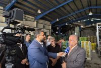 برندسازی «نارنگی ساری» و احیای قیمت واقعی مرکبات در ۲۰ روز آینده