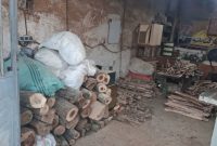 محموله چوب‌آلات جنگلی غیرمجاز در بندپی شرقی بابل کشف و توقیف شد