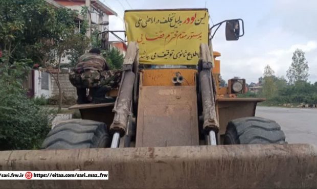 بیل زنجیری متخلف در جنگل‌های شیخ‌موسی بابل توقیف شد